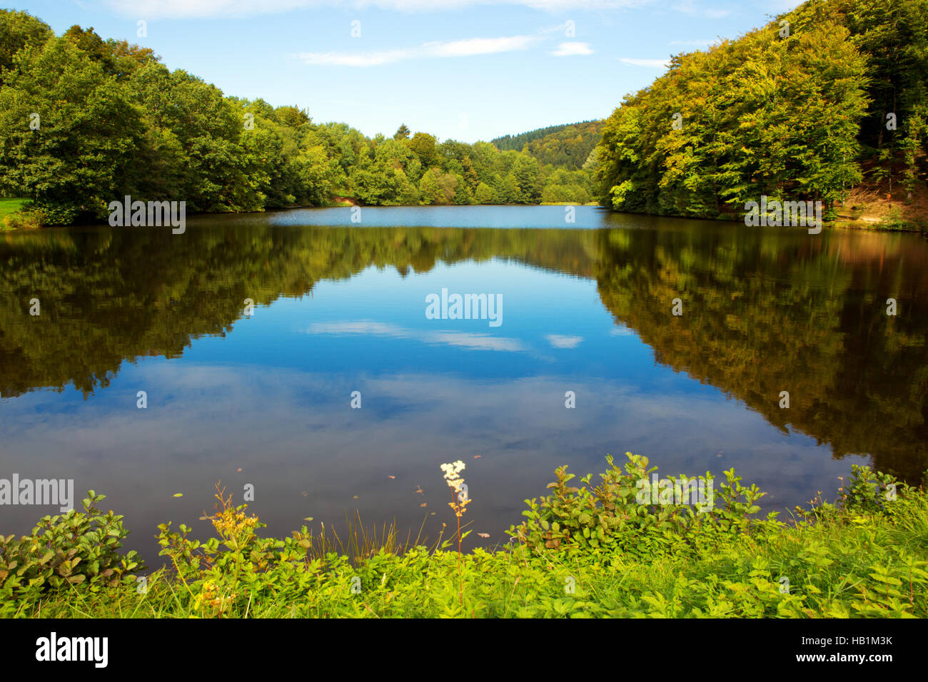 Lake in the autumn forest with reflection Stock Photo - Alamy