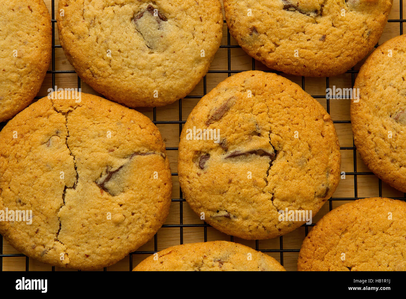 Peanut butter and double chocolate cookies cool on a wire rack Stock Photo