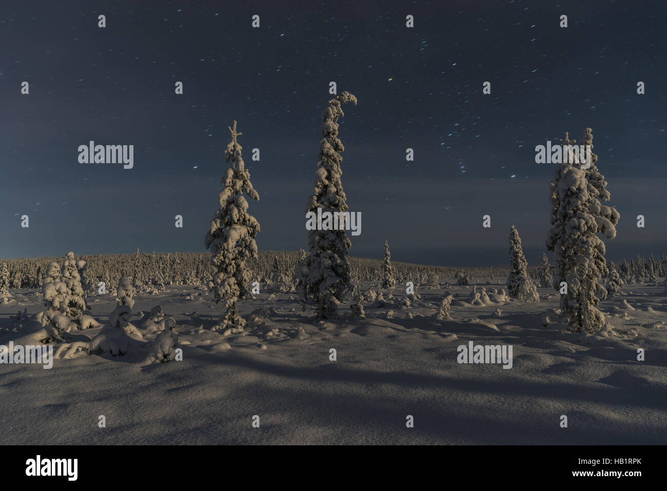 moonlit winter landscape, Lapland, Sweden Stock Photo
