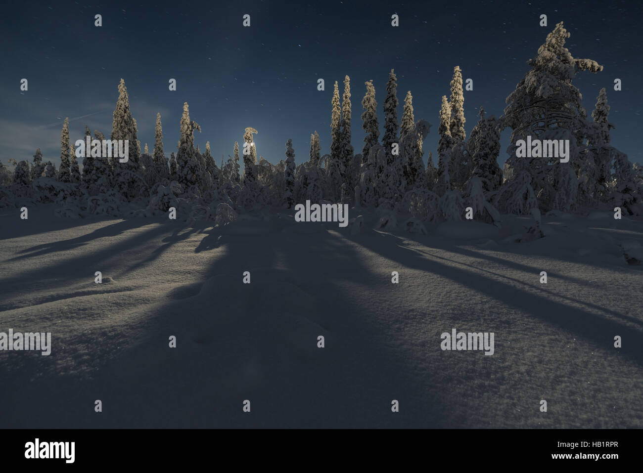moonlit winter landscape, Lapland, Sweden Stock Photo