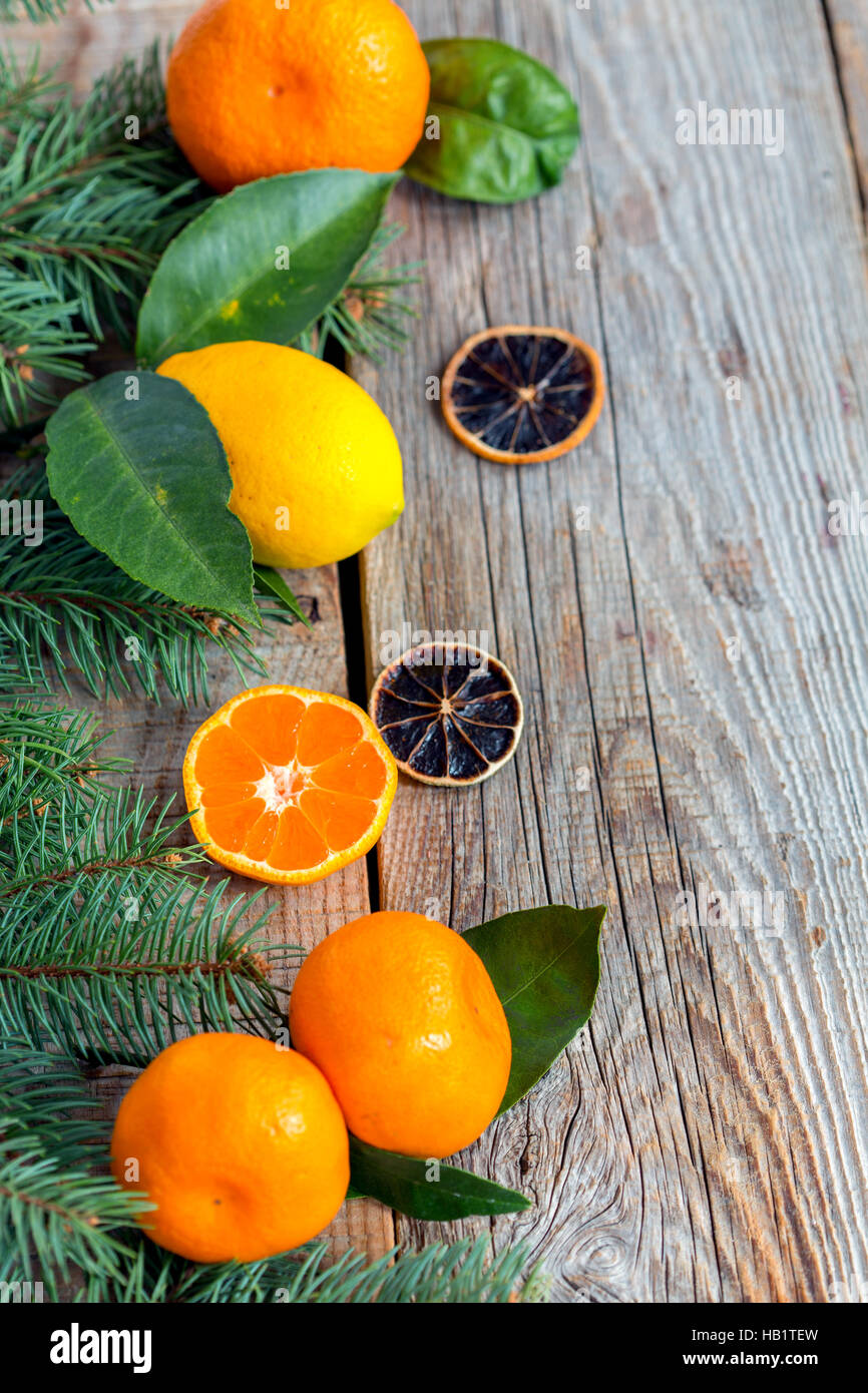 Citrus and spruce branches. Stock Photo
