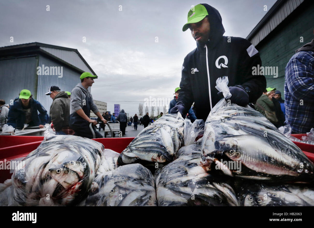Richmond, Canada. 3rd Dec, 2016. A volunteer helps loading the bags of