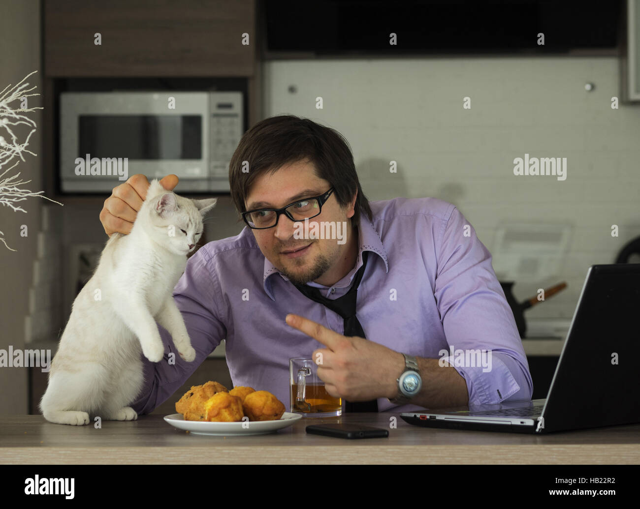 December 2, 2016 Young businesman scolds cat tries to eat its cake when he looks information