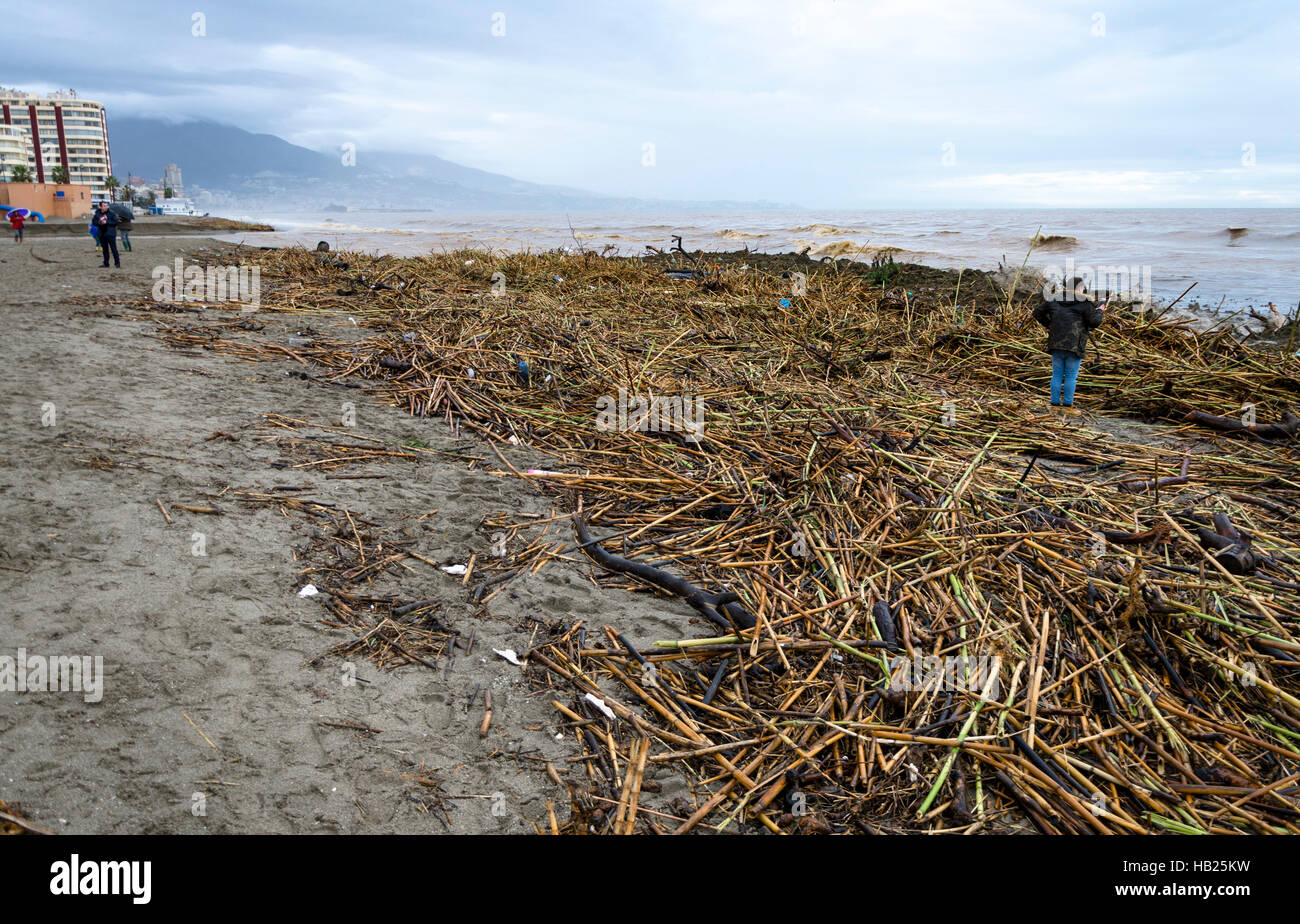 Fuengirola, Andalusia, Spain. 4th december, Severe weather, Fuengirola river becomes Flash flood leaving debris behind at river mouth. 2016. Credit:  Perry van Munster/ Alamy Live News Stock Photo