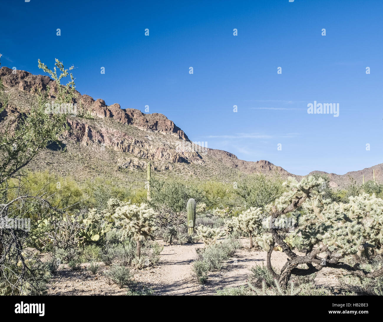 Baja california desert national park hi-res stock photography and ...