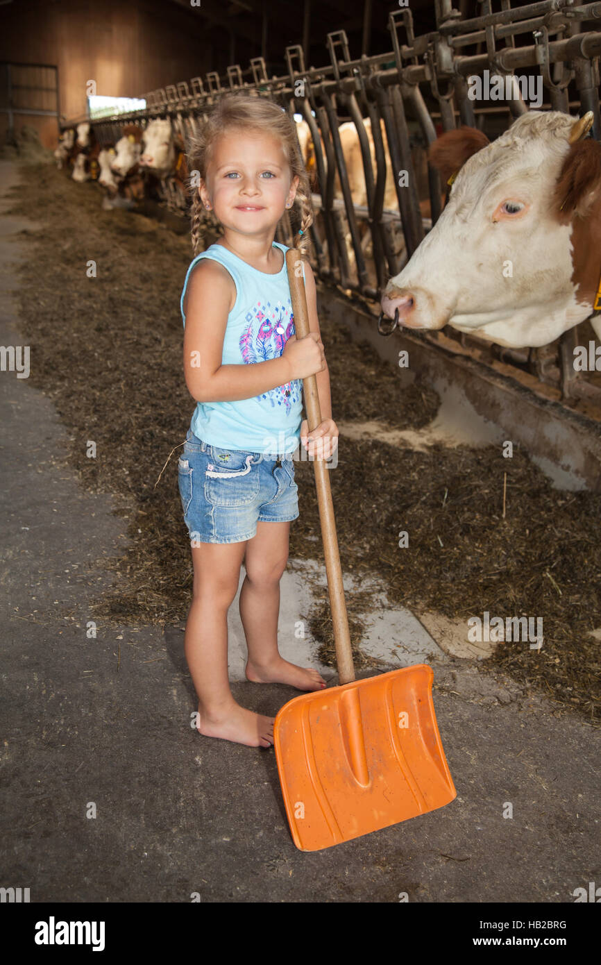 little girl with shovel in the cowshed Stock Photo Alamy