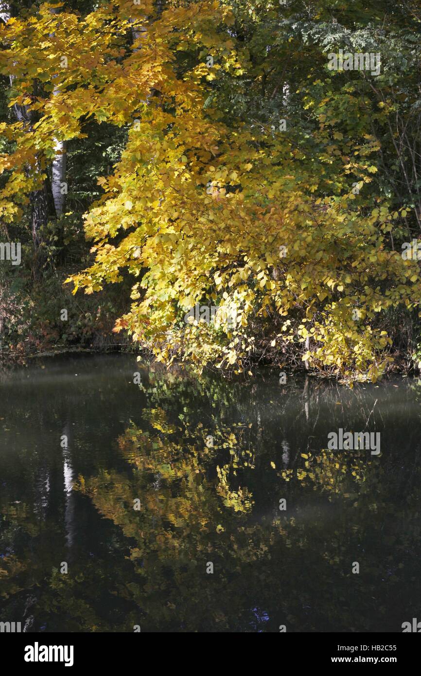 spreewald,autumn,germany Stock Photo