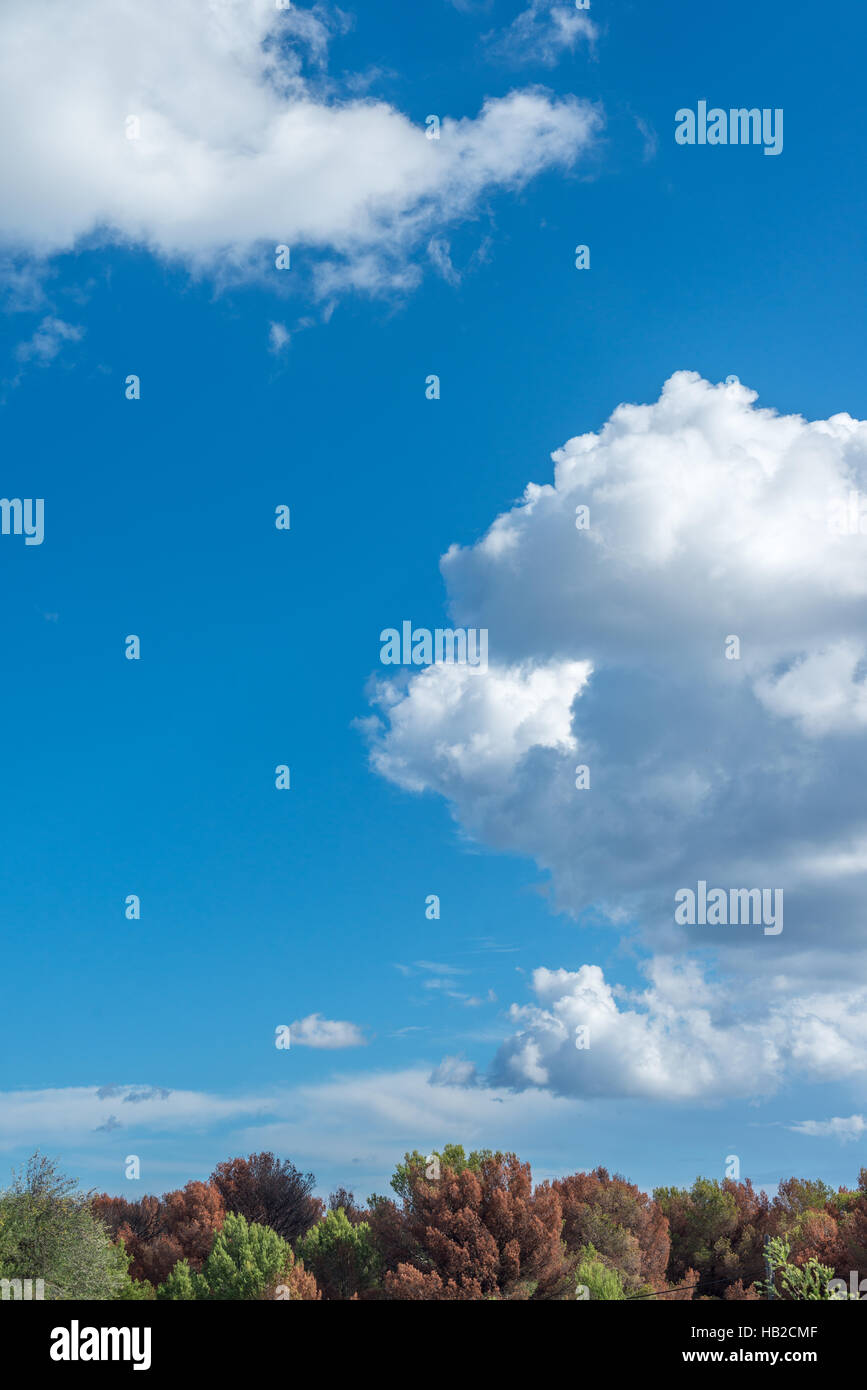 Cumulus clouds uk hi-res stock photography and images - Alamy