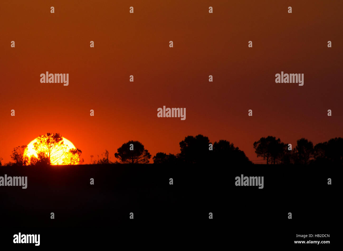 Beautiful landscape image with trees silhouette at sunset, Spain Stock Photo