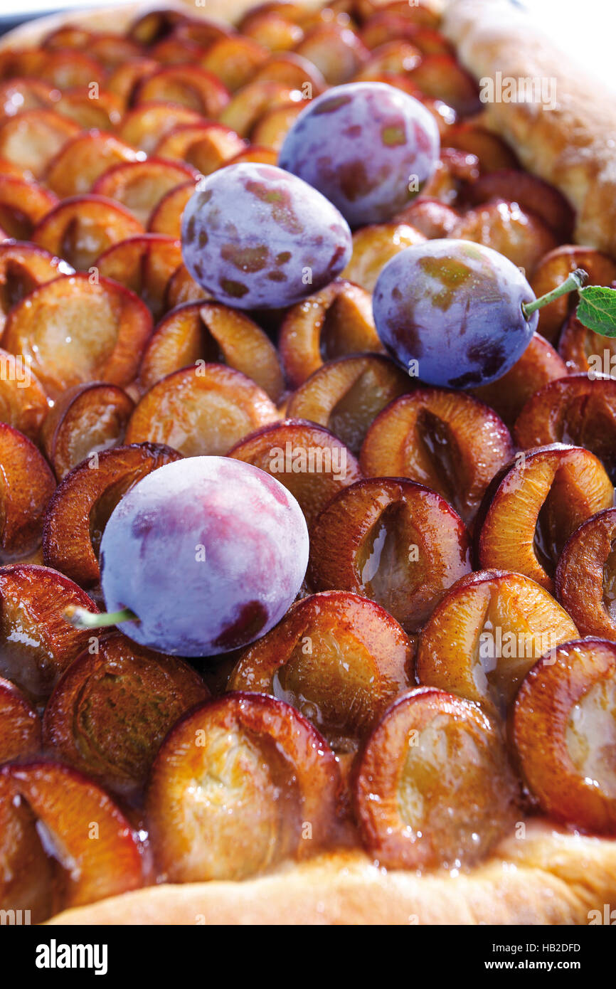 Plum cake, completely filling the image Stock Photo