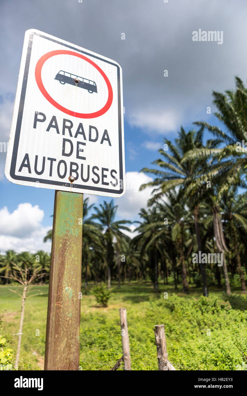Bus stop sign writen in Spanish on post pole next to the road in