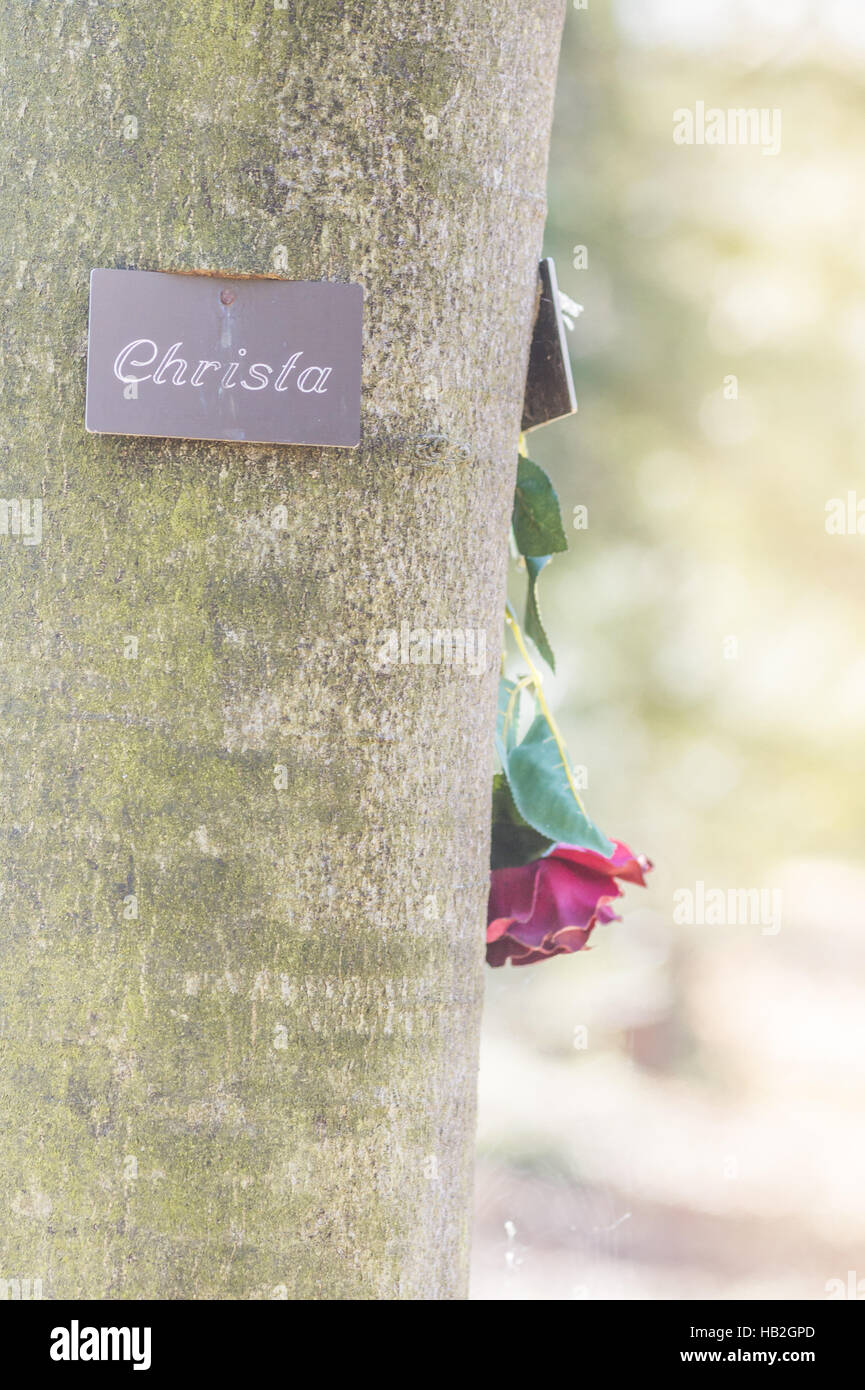 tree burial site, waldfriedhof cemetery Stock Photo Alamy