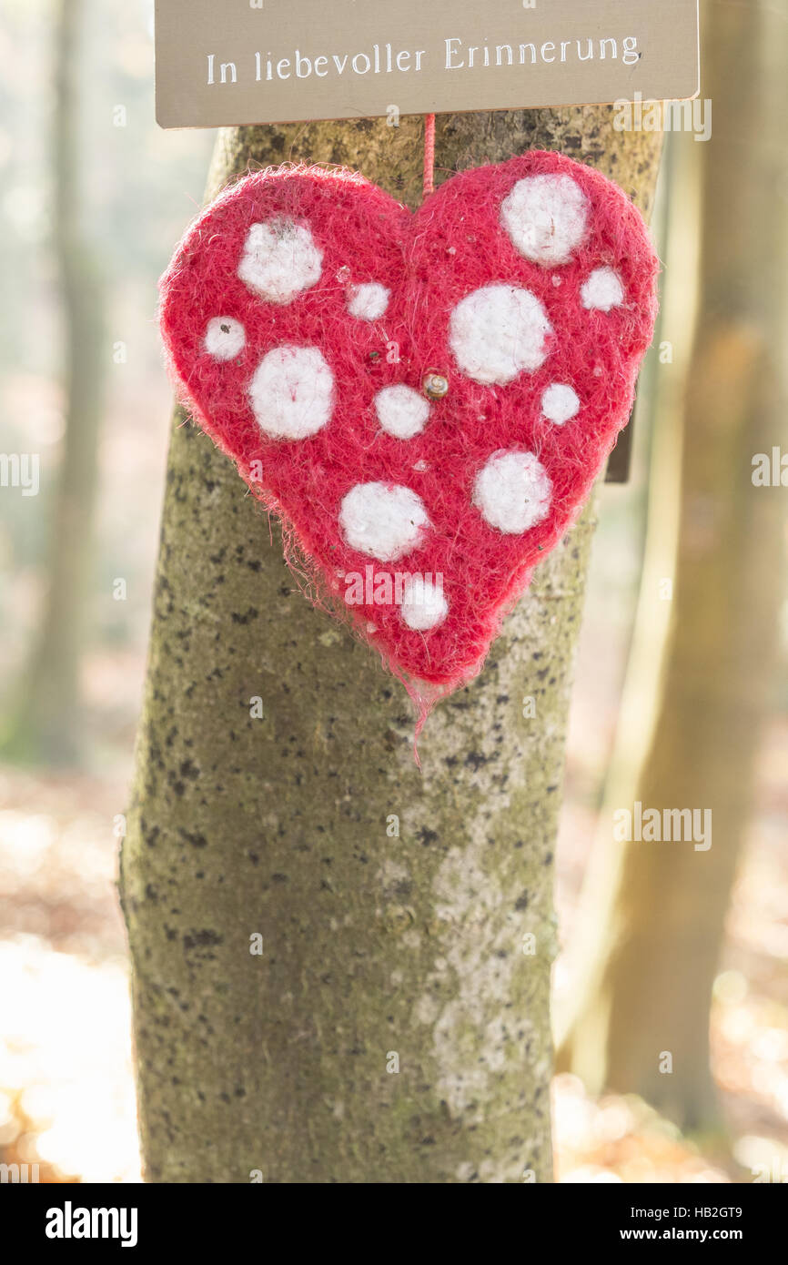tree burial site, waldfriedhof cemetery Stock Photo Alamy