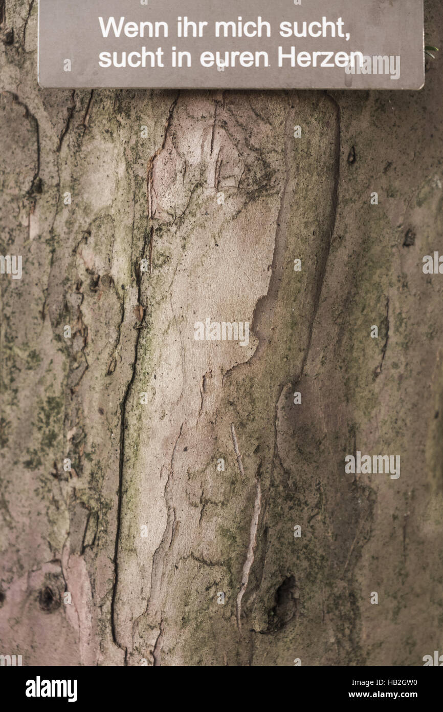 tree burial site, waldfriedhof cemetery Stock Photo Alamy