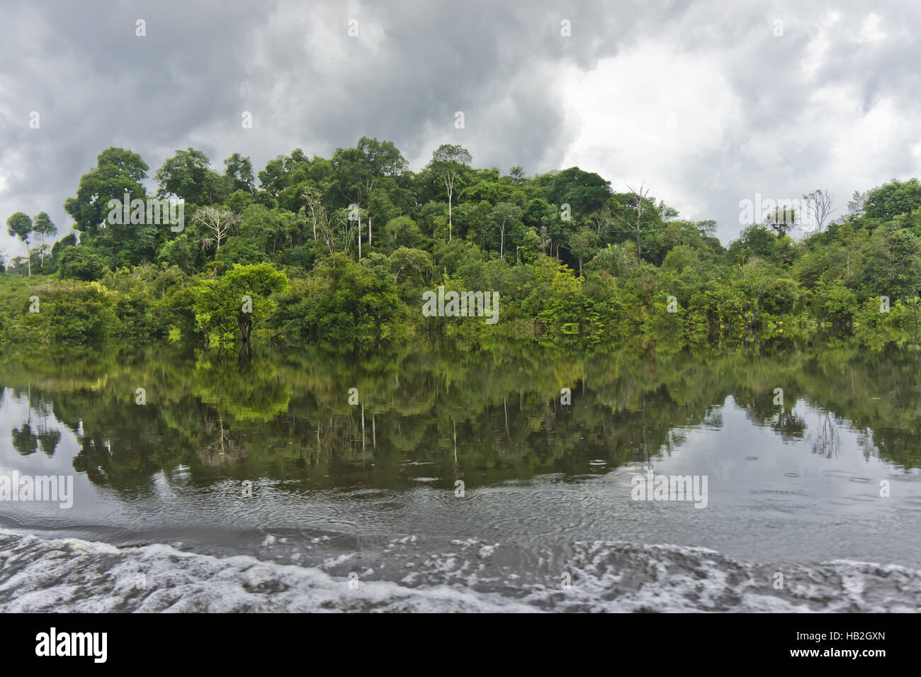 Amazon Basin, Brazil Stock Photo Alamy