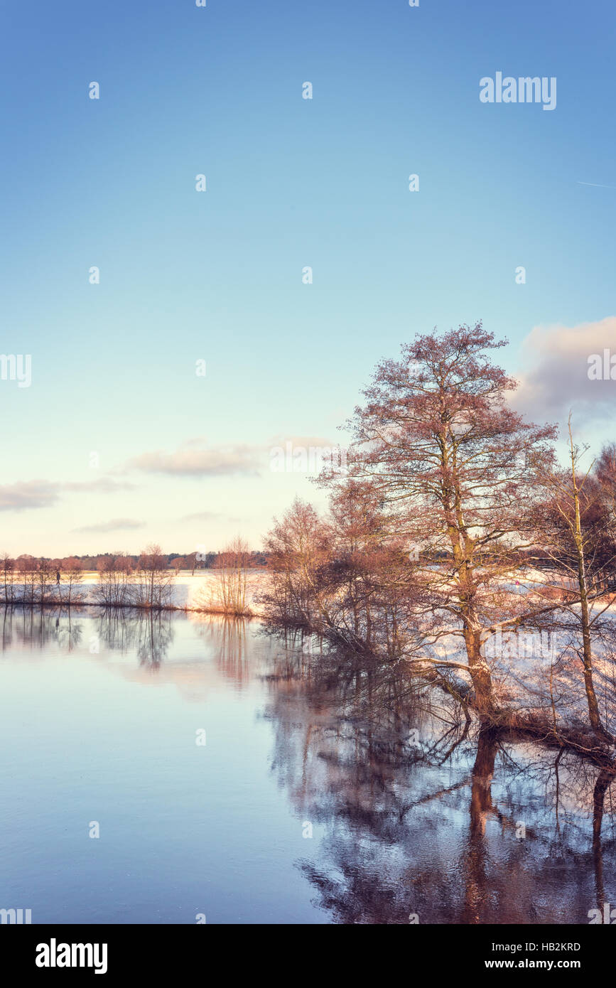 winter landscape with color look Stock Photo - Alamy