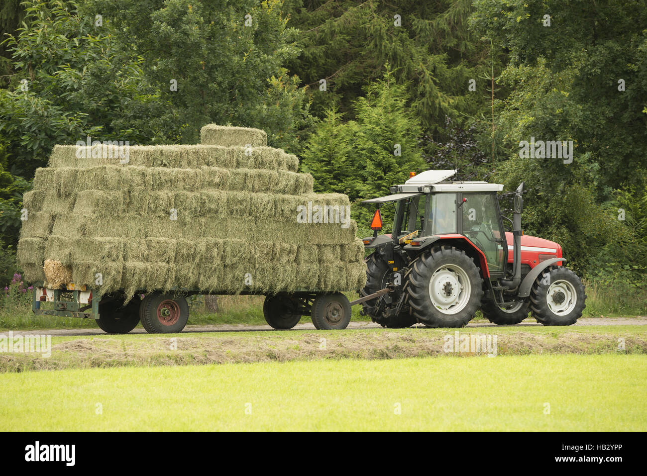 Transportation of bales of hay Stock Photo Alamy