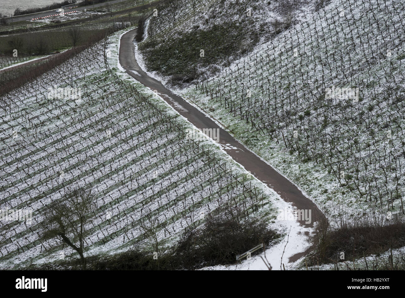 Vineyards in Winter Stock Photo