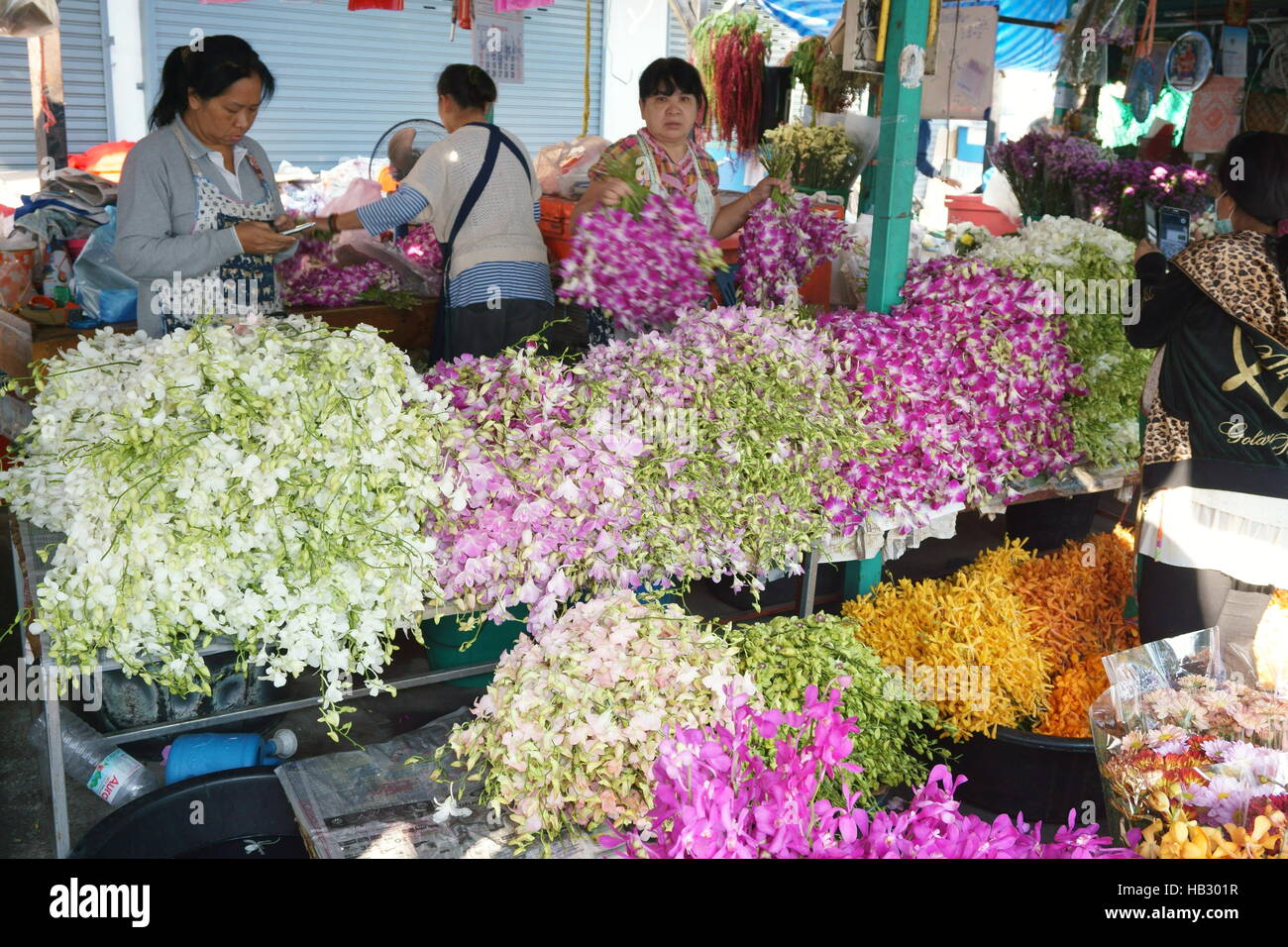 stall selling orchids at Chiang Mai Chinatown market Stock Photo