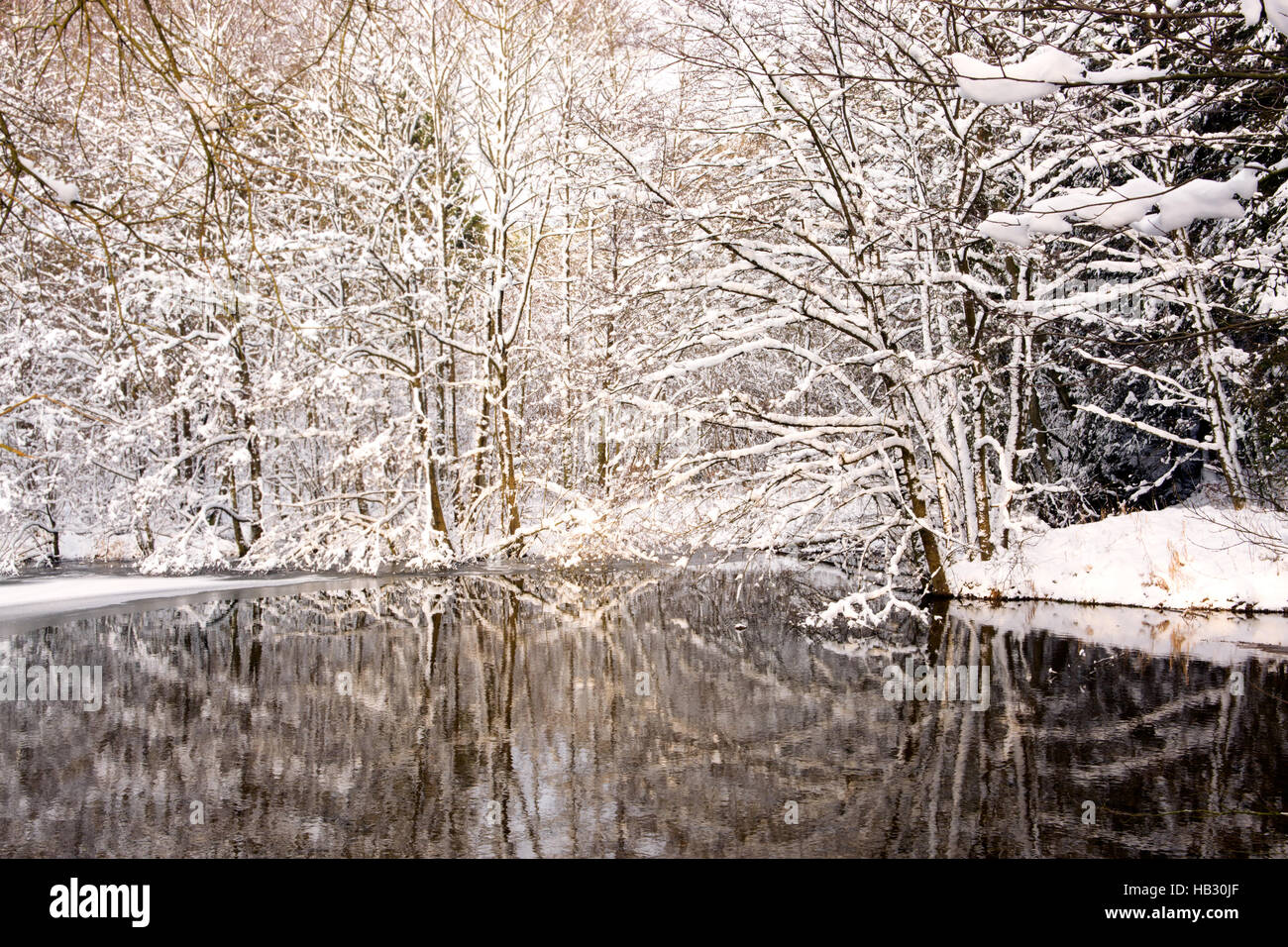 Winter lake and trees with snow. Stock Photo