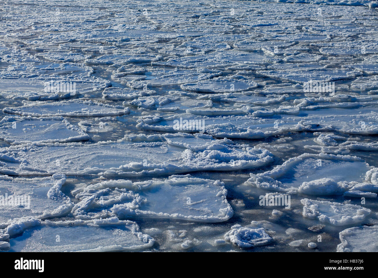 ice floes in the water Stock Photo
