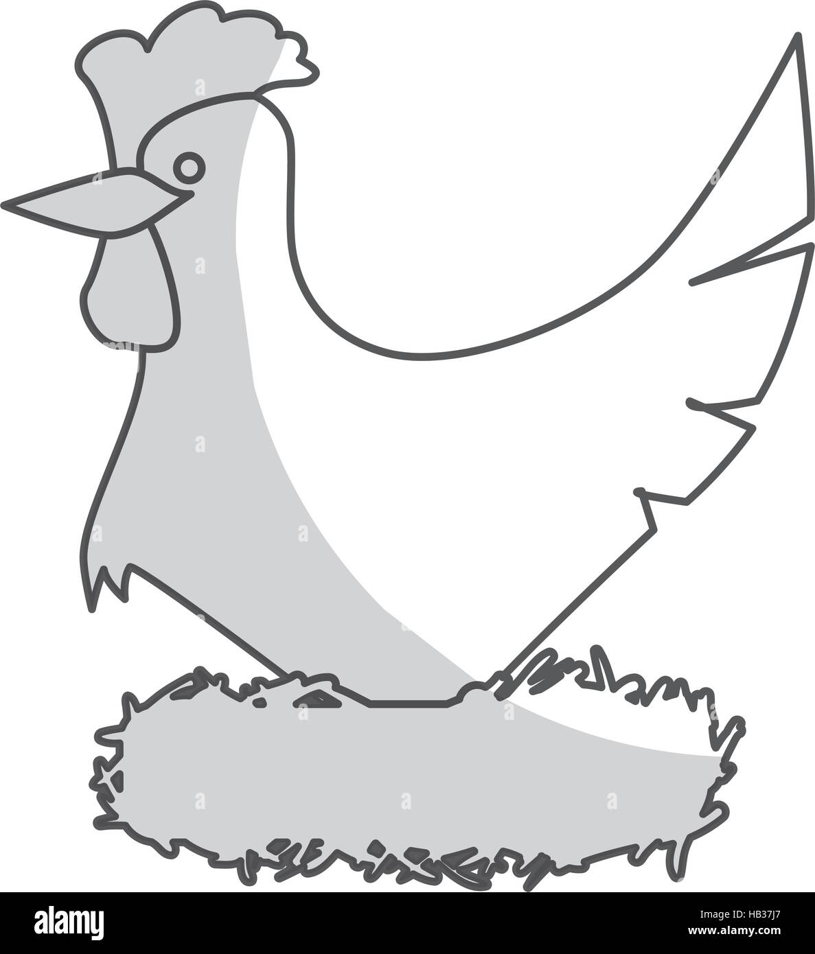 chicken icon. farm animal design. vector illustration Stock Vector ...