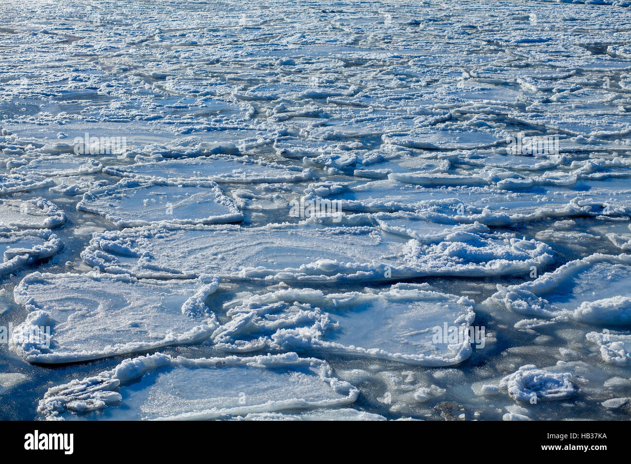 ice floes in the water Stock Photo Alamy