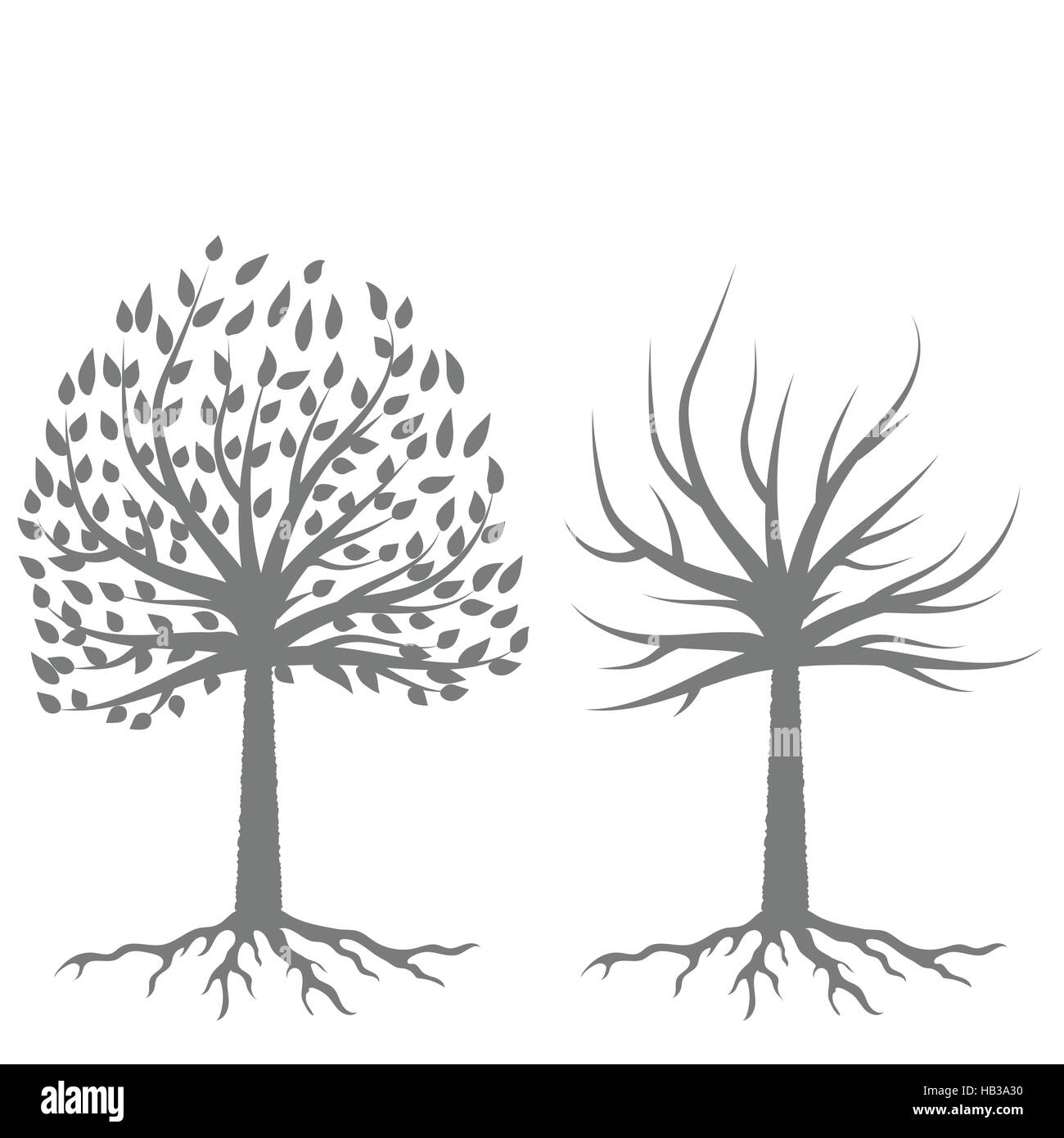 Two Trees Silhouettes Stock Photo Alamy
