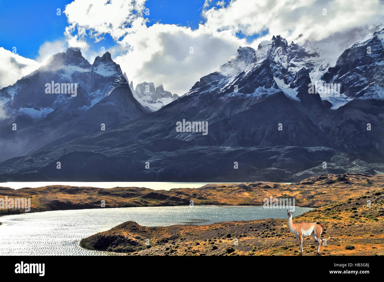 National Park Torres del Paine in Chile Stock Photo