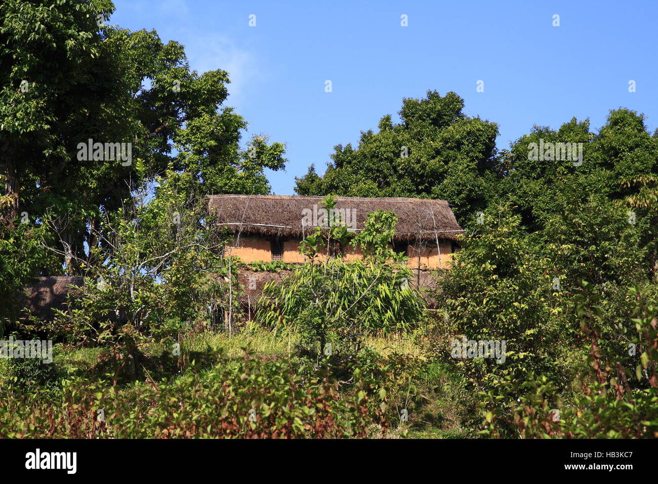 Indian old farmer hi-res stock photography and images - Alamy