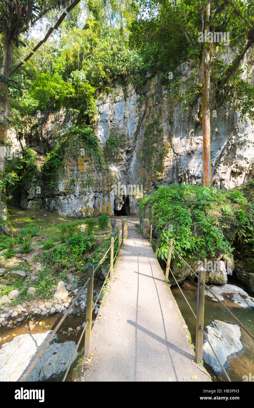 Devil's Cave, canopy and forest in Merida State Stock Photo