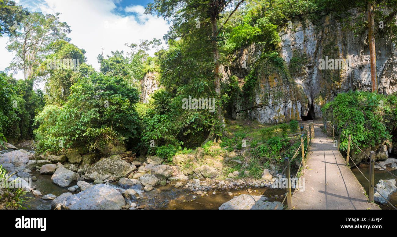 Devil's Cave, canopy and forest in Merida State Stock Photo