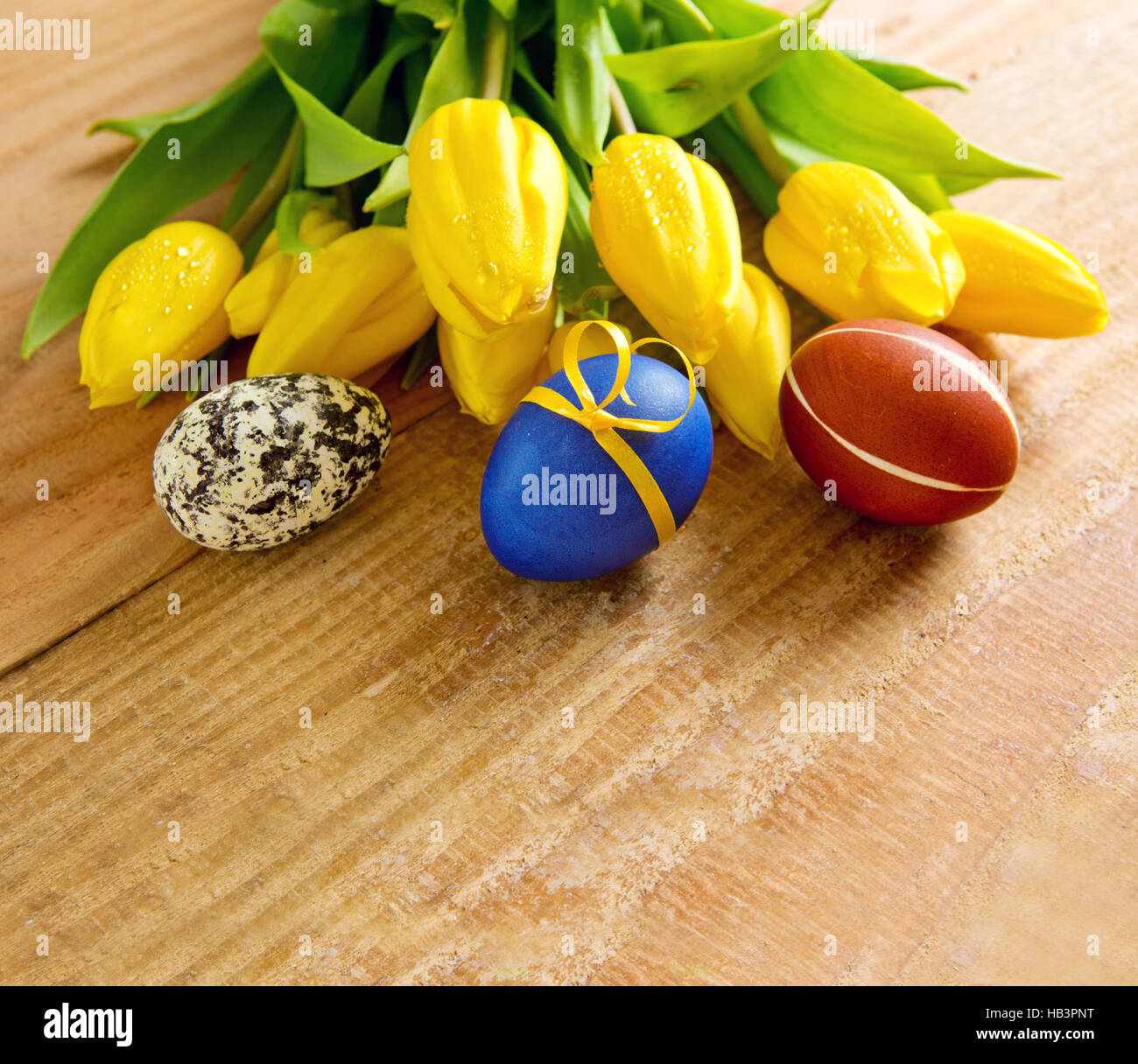 Colorful Easter eggs and tulips Stock Photo - Alamy