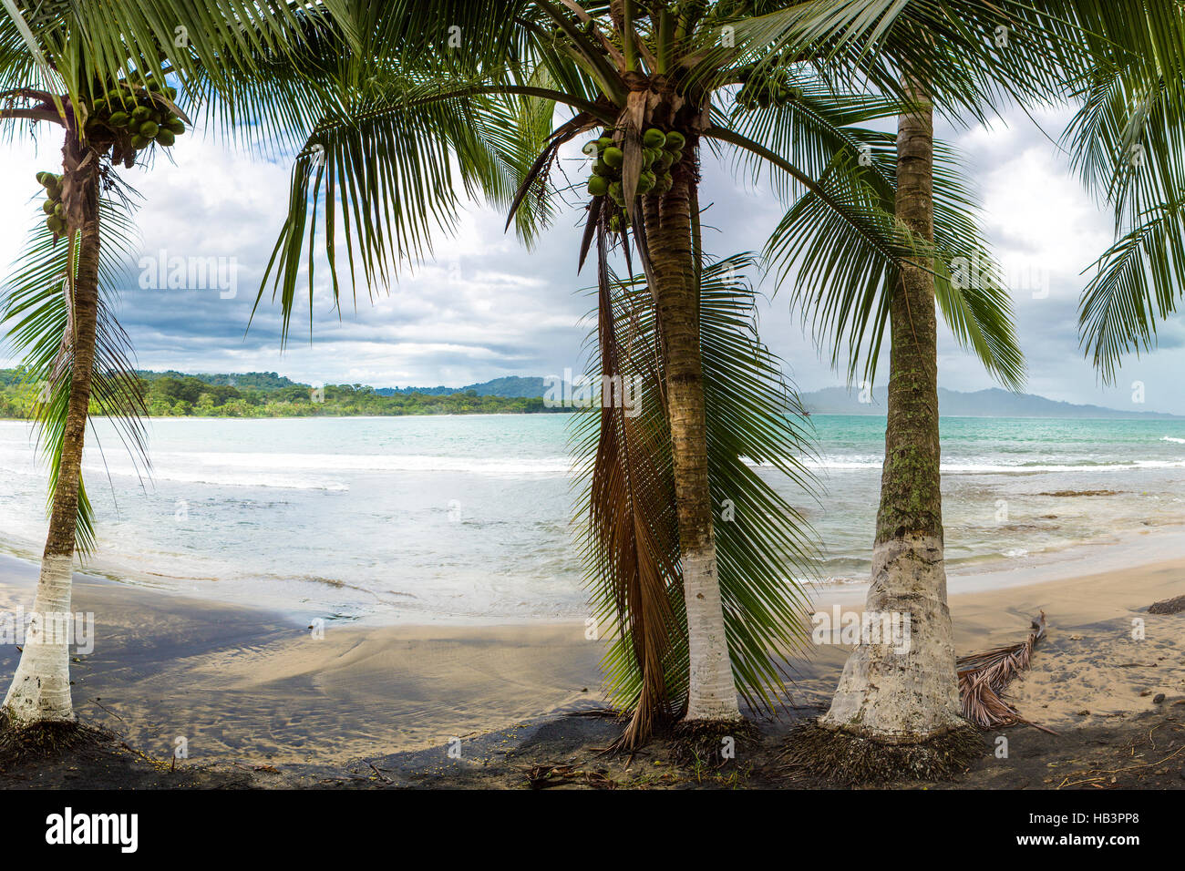 Empty beach in Puerto Viejo, Costa Rica Stock Photo