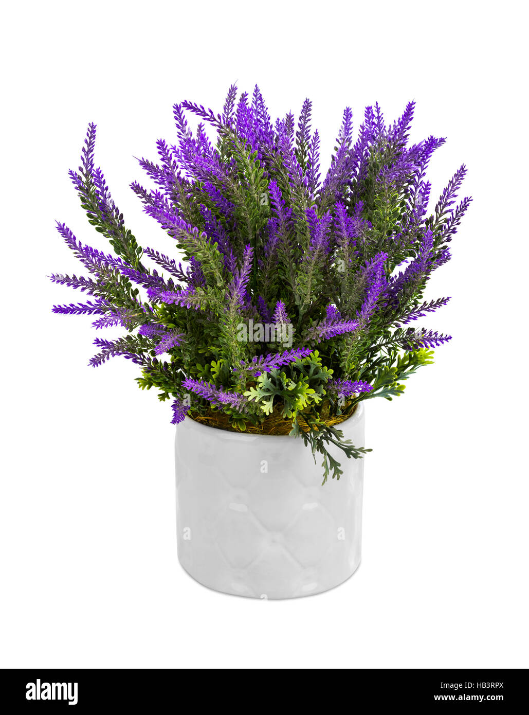 Lavender in vase Stock Photo Alamy