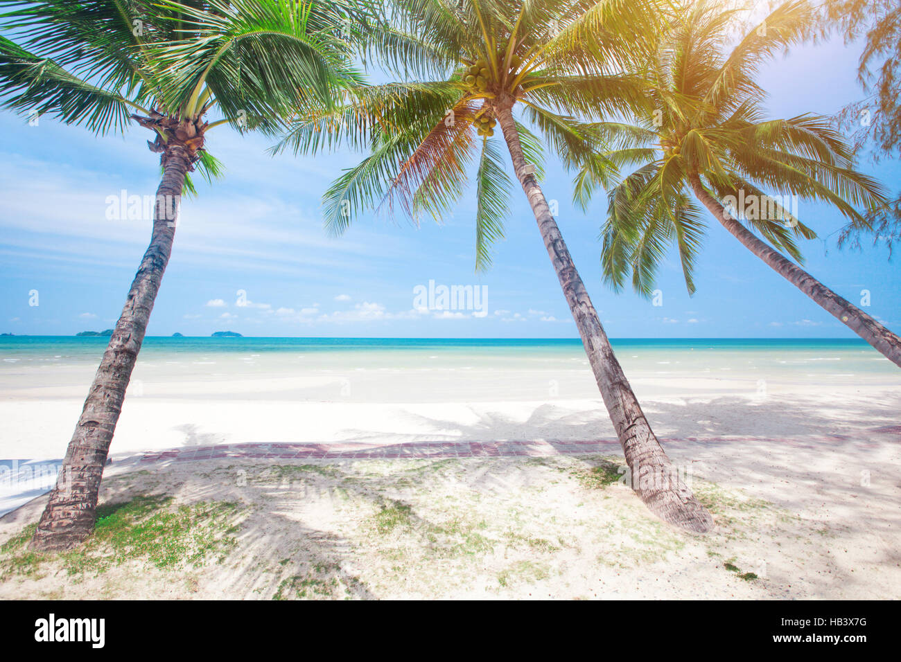 tropical beach with coconut palm Stock Photo - Alamy