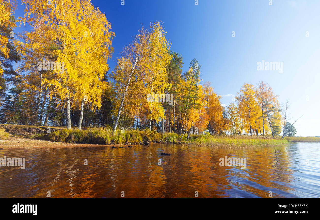 Autumnal Park. Autumn Trees and lake Stock Photo - Alamy