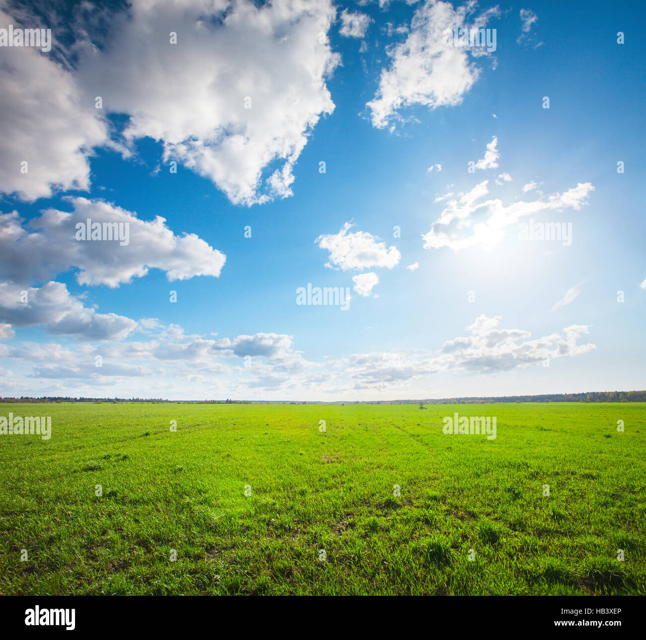 Green field under blue cloudy sky whit sun Stock Photo - Alamy