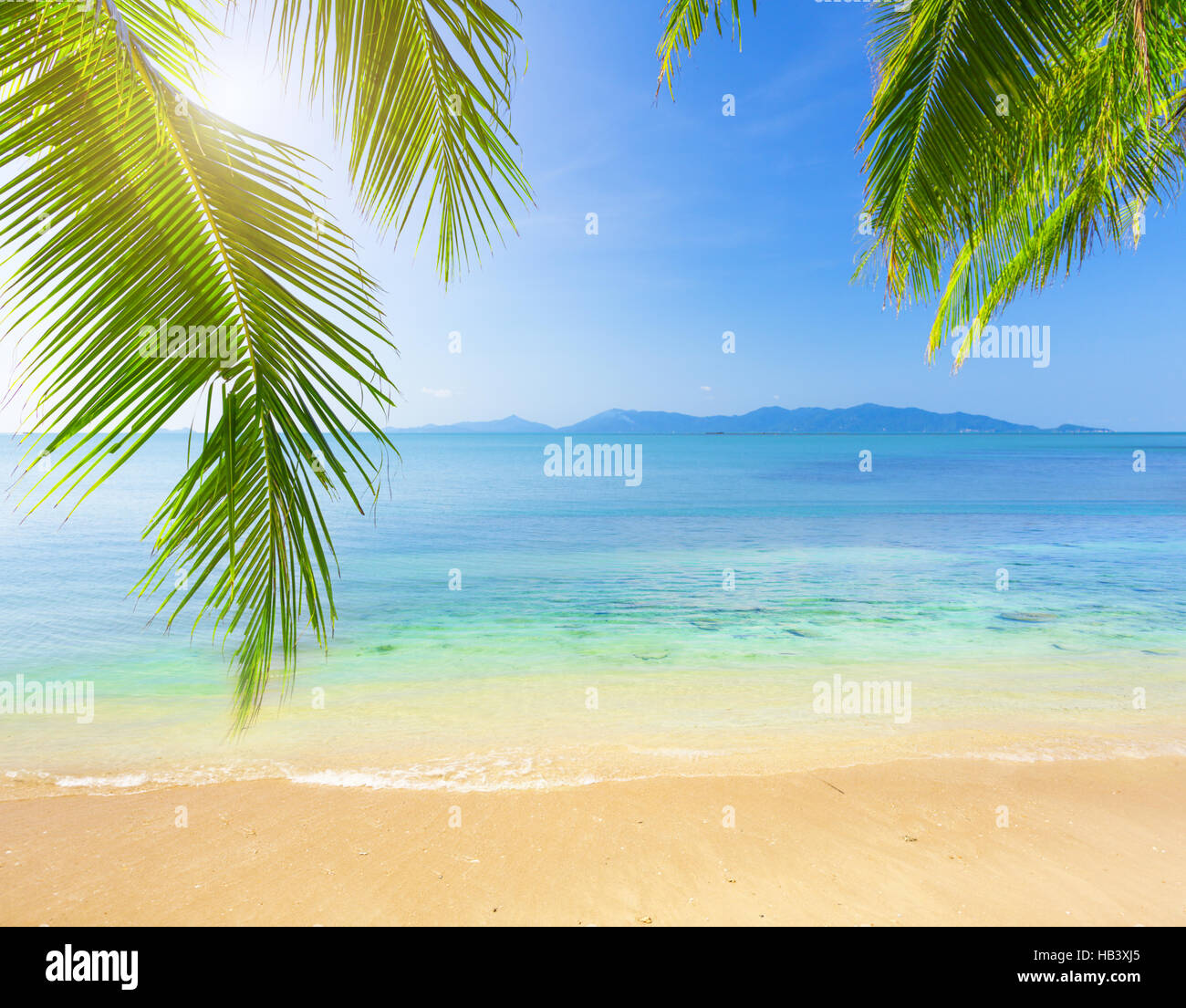 Palm leaf tropical beach hi-res stock photography and images - Alamy