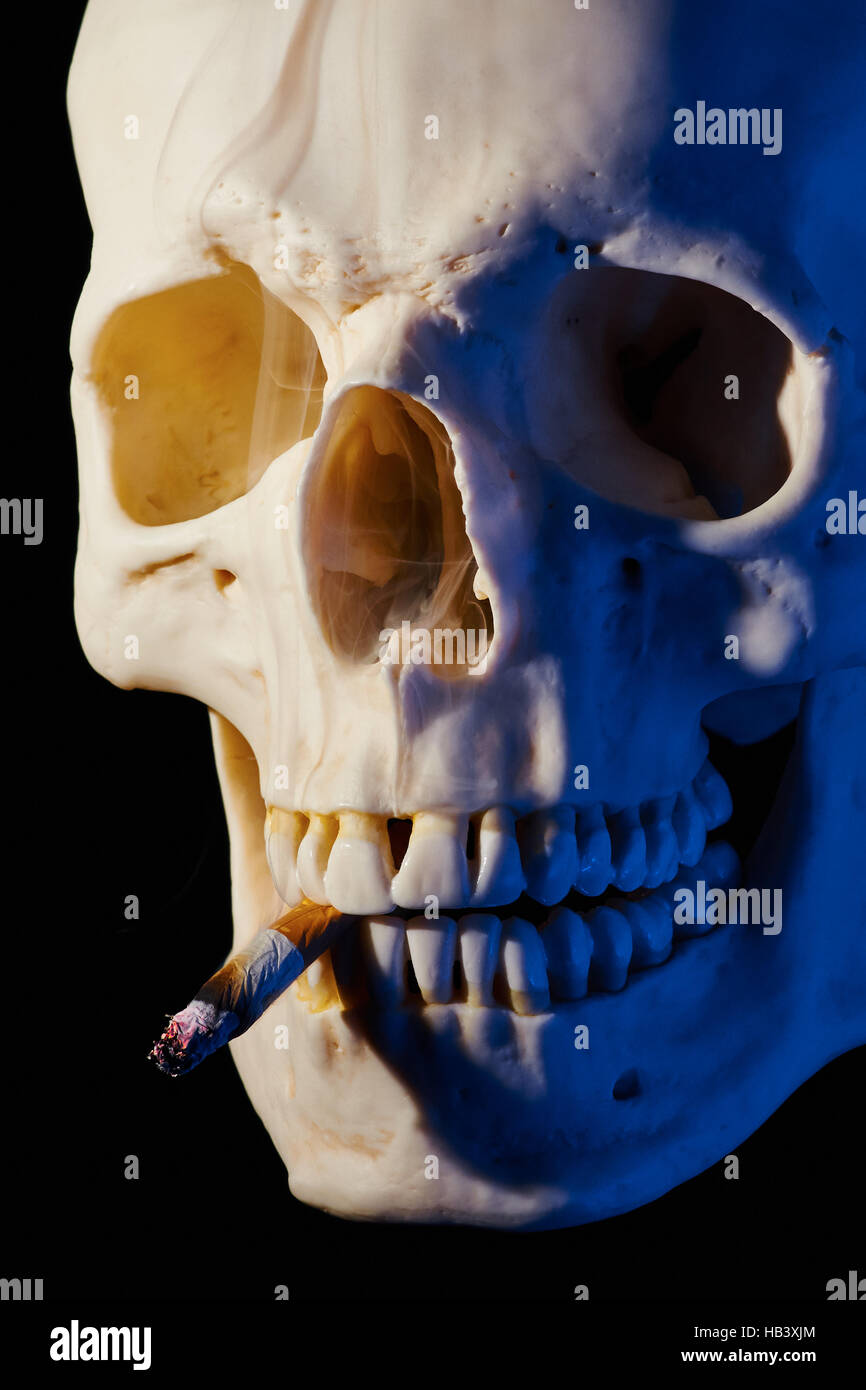 Cranial Bone with Cigarette Stock Photo