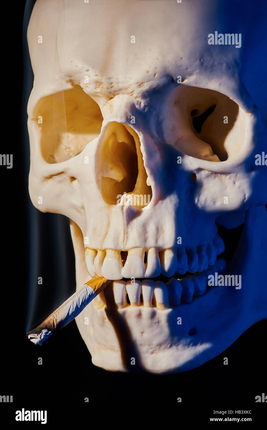 Cranial Bone with Cigarette Stock Photo