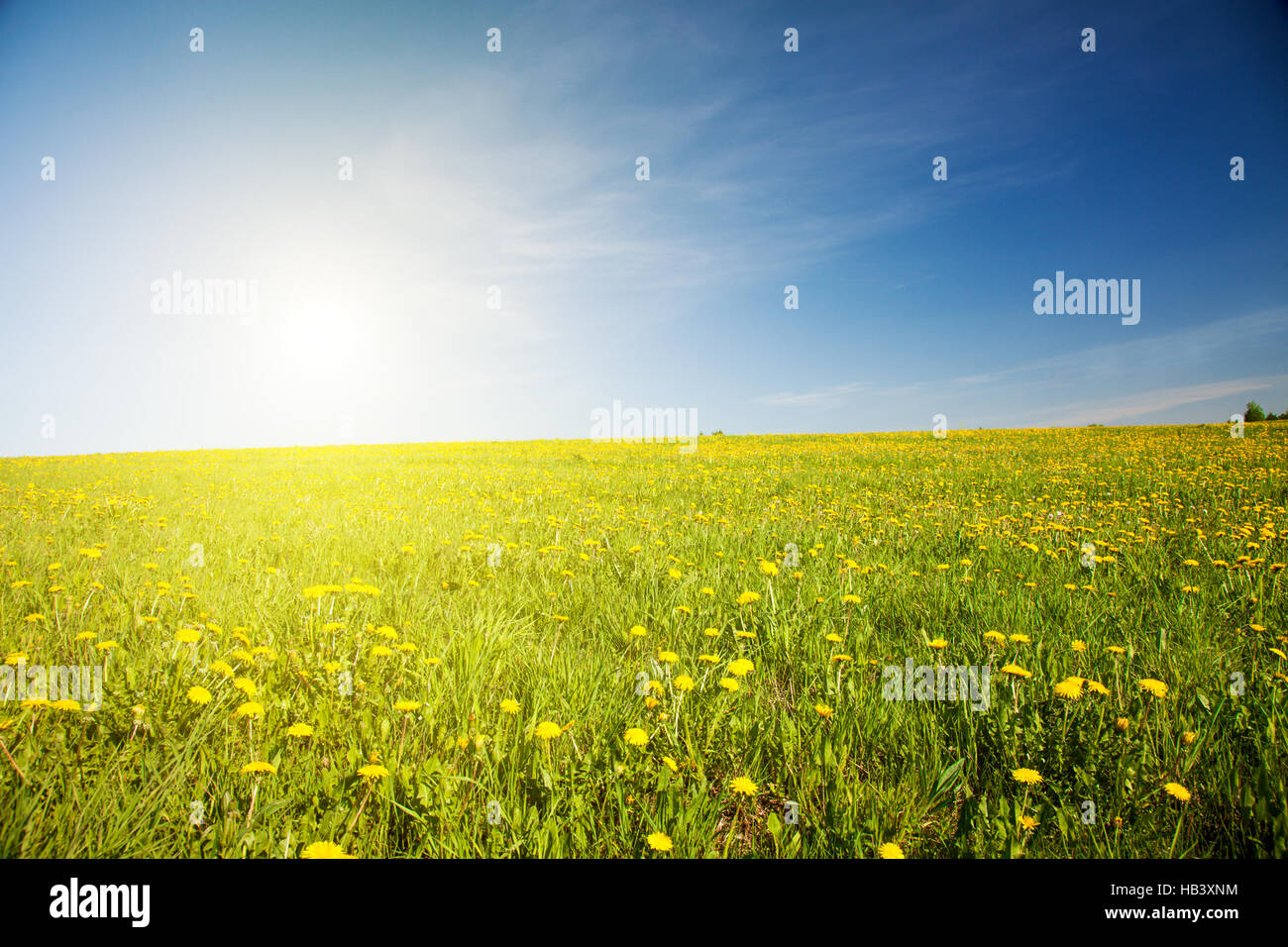 green field and beautiful sunset Stock Photo - Alamy