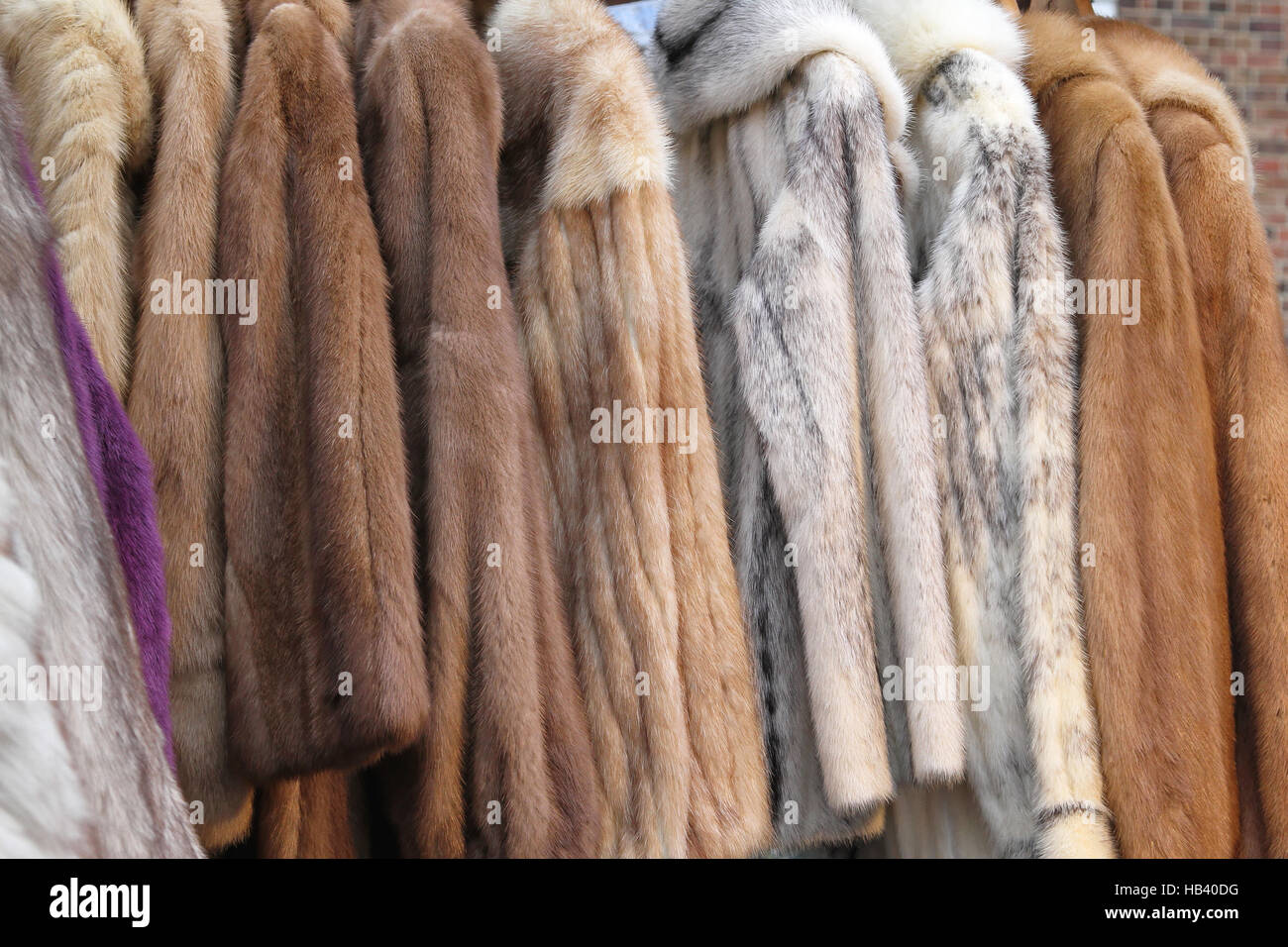 Fur coats Stock Photo