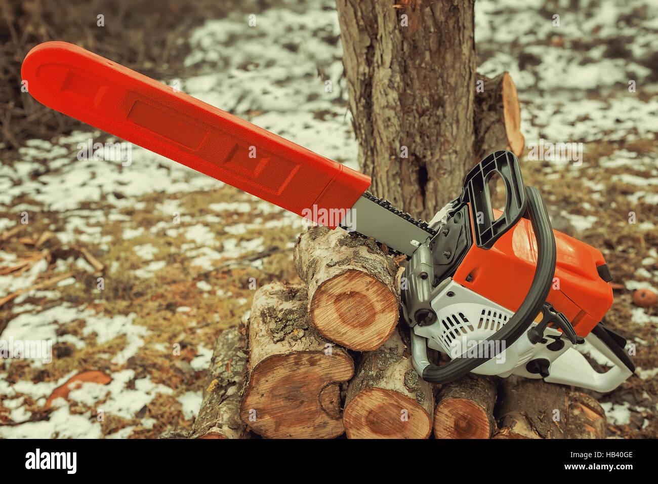 Chainsaw and cut tree branches Stock Photo Alamy