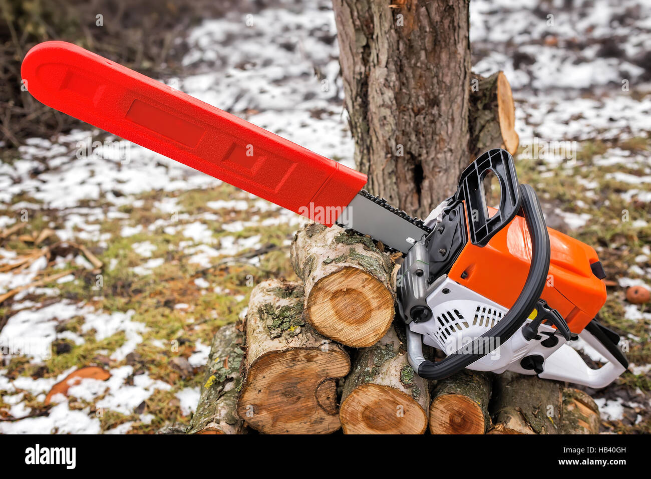 Chainsaw and cut tree branches Stock Photo Alamy