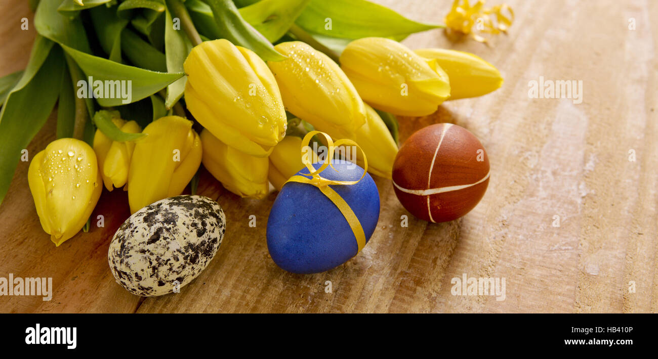 Colorful Easter eggs and tulips Stock Photo - Alamy