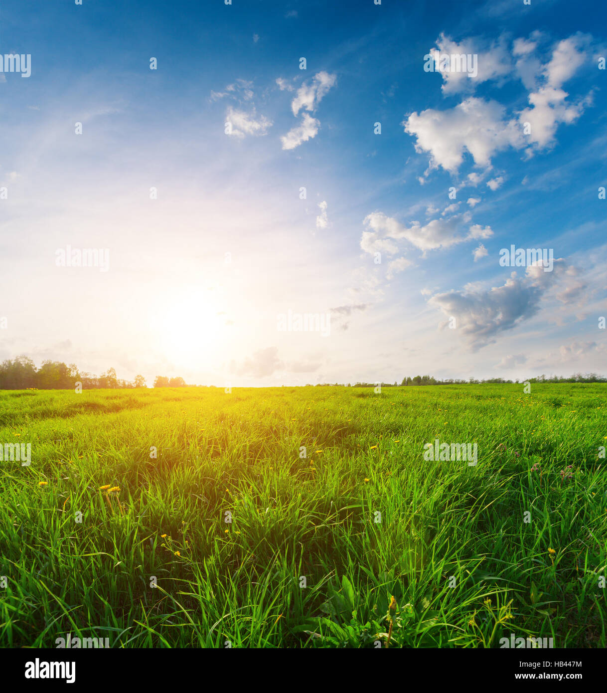 green field and beautiful sunset Stock Photo - Alamy