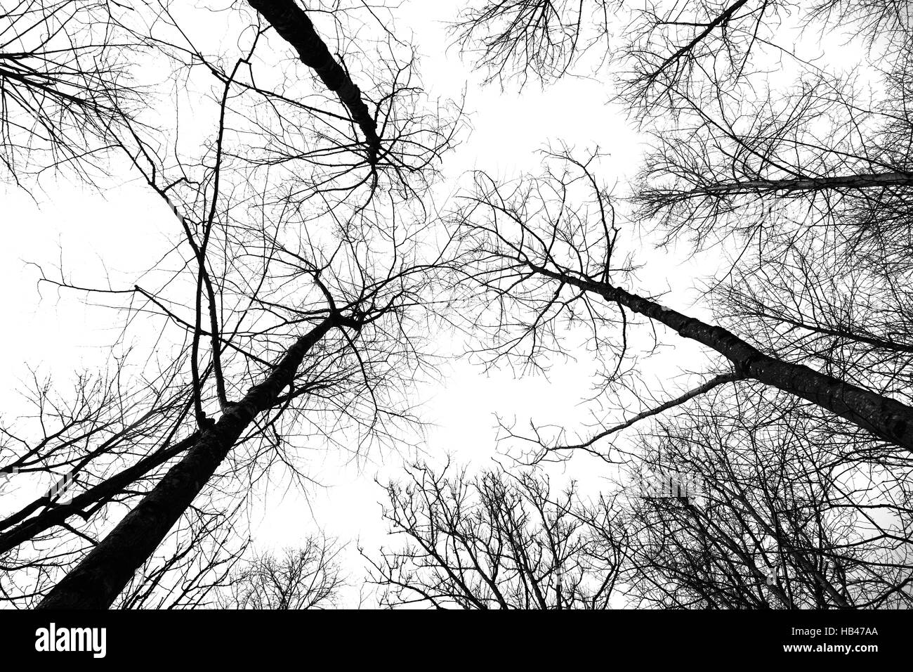 Himmel silhouette Black and White Stock Photos & Images - Alamy
