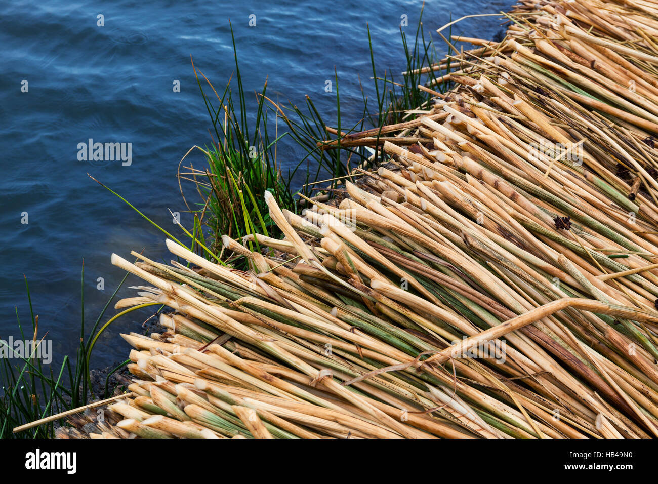 cane island Stock Photo Alamy