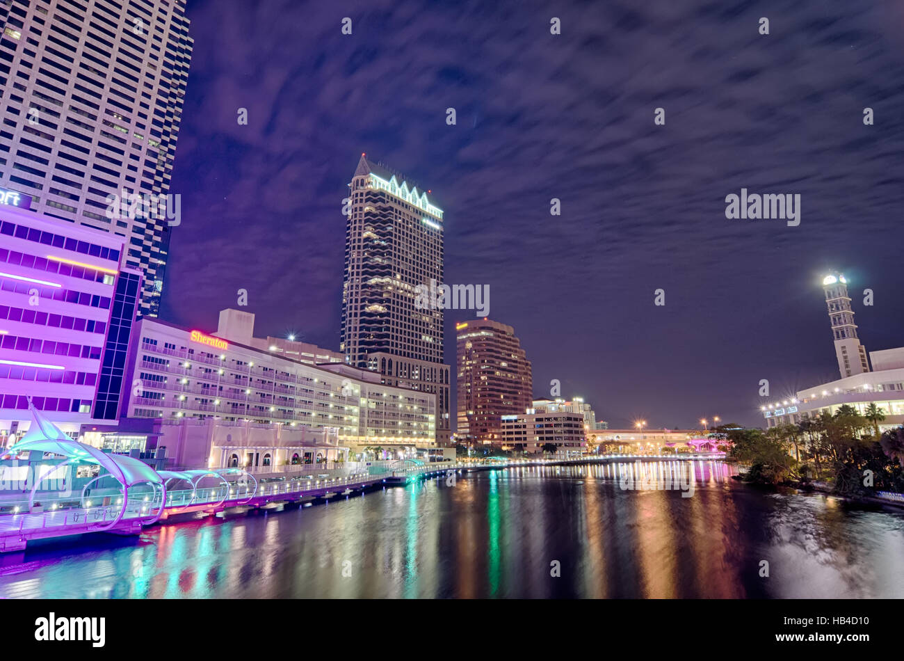 Downtown tampa florida skyline at night